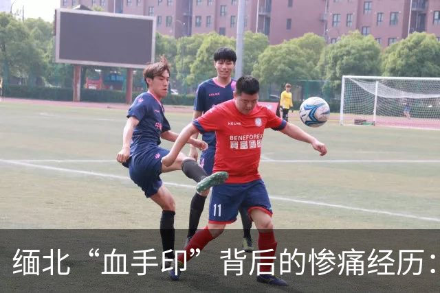 缅北“血手印”背后的惨痛经历：一场“发财梦”的悲喜剧